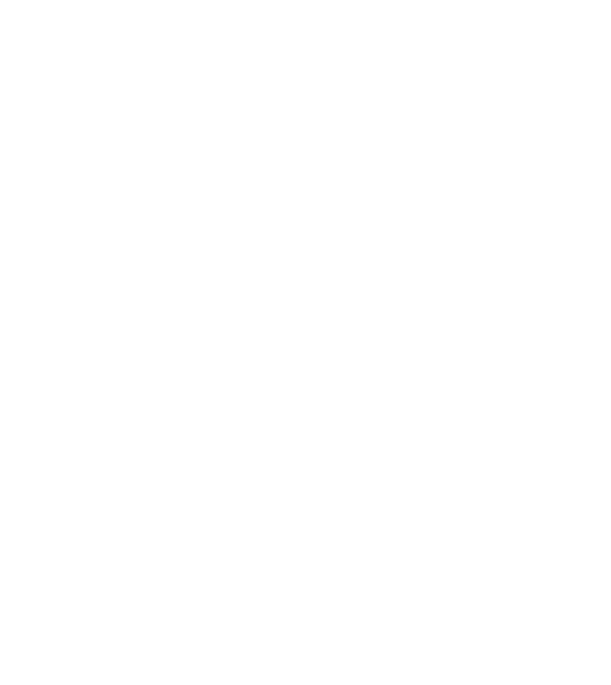 Logo Municipalidad de General San Martín